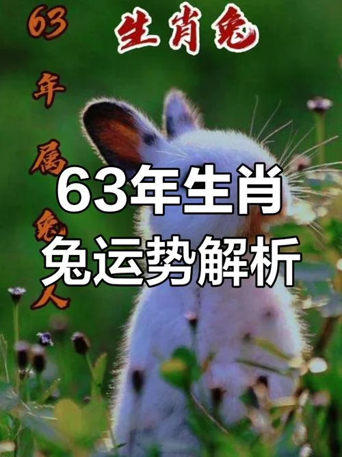 63年是属什么的_2