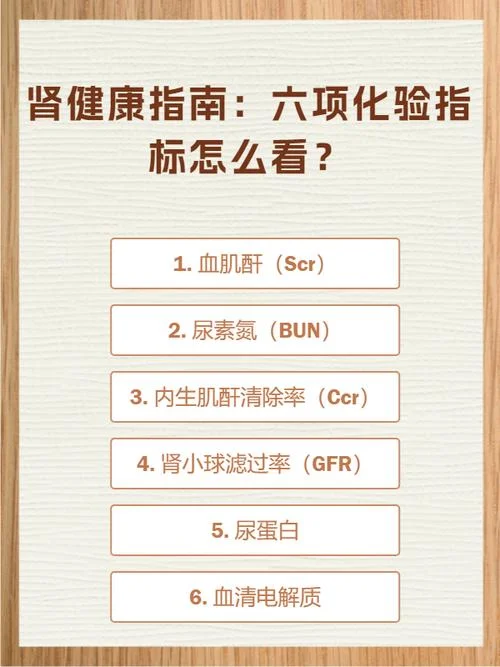 肾功能如何查-肾功能检查指南