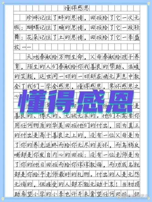感恩节活动感悟怎么写_2