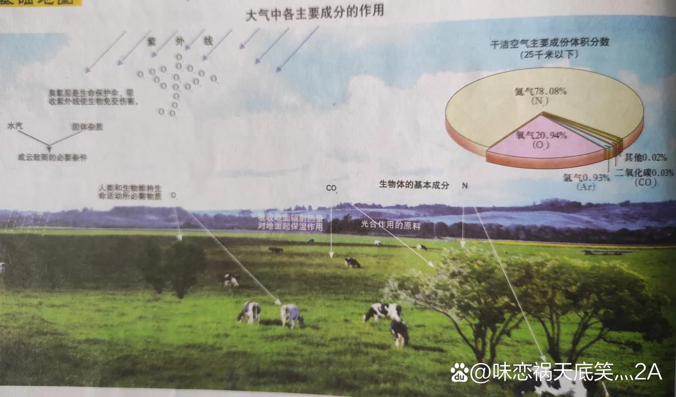 什么是空气_1
