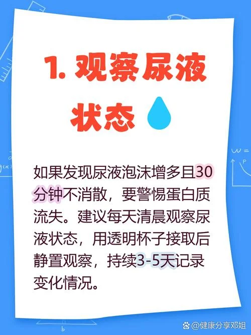 体检出尿蛋白有两个加号是什么意思啊_2
