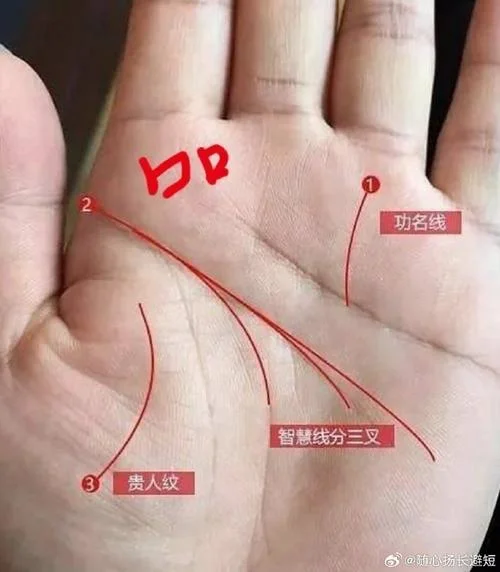 男生右手的手相_1