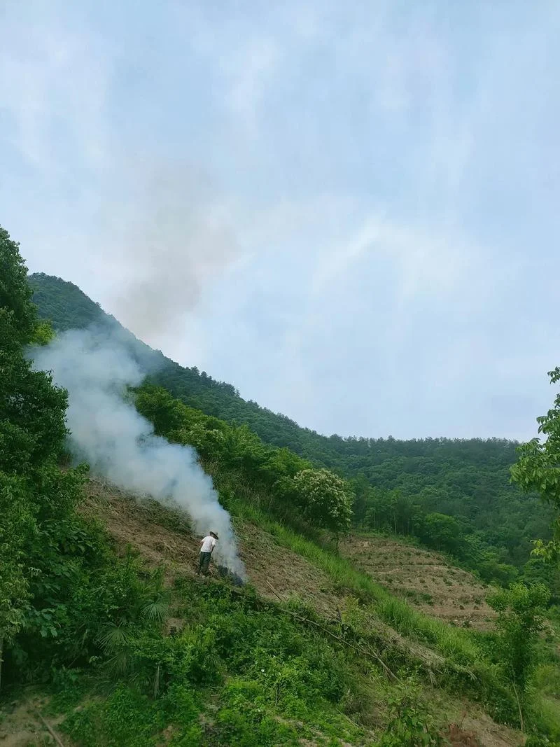 已婚女人梦见山上着火-已婚女梦山火