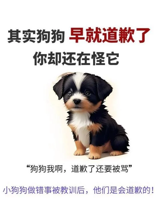 猫咪踢狗文案_1