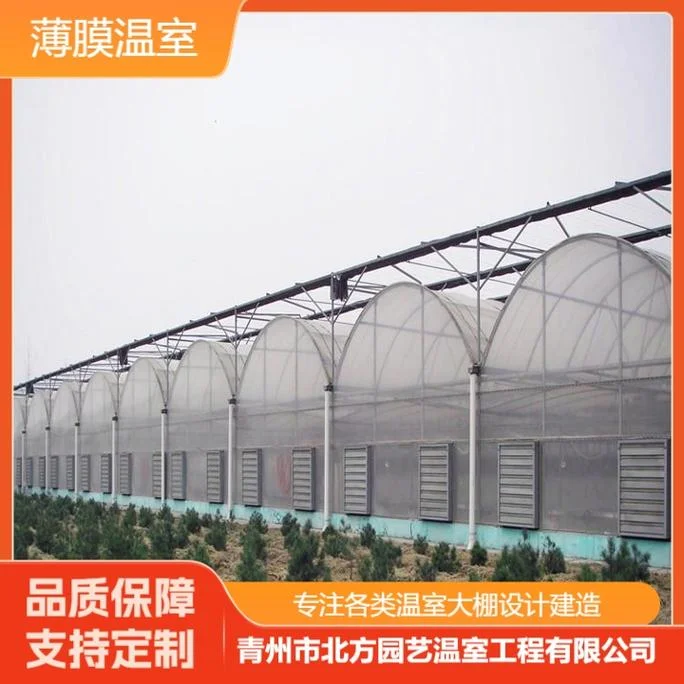 连栋大棚多少费用一平方_1