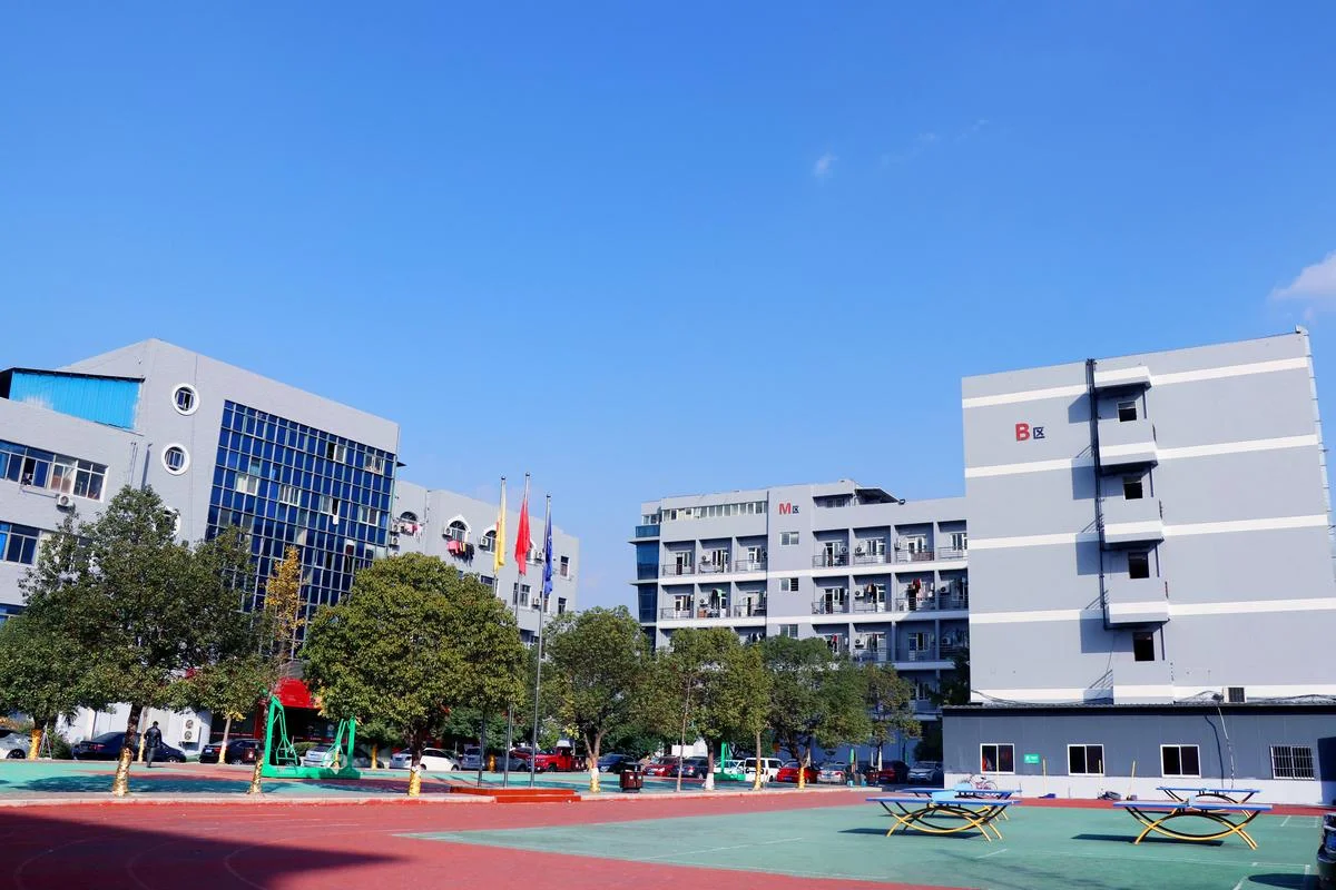 13岁可以上什么技校_1