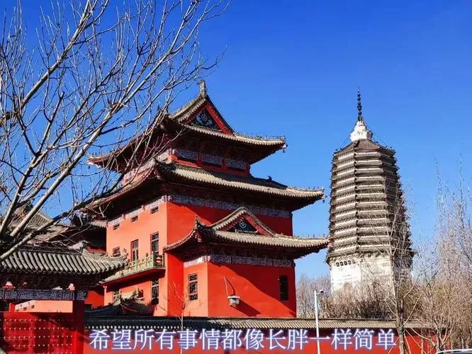 泰来到沈阳多少公里_2