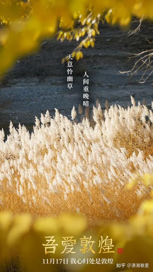 天意怜幽草的下一句_2