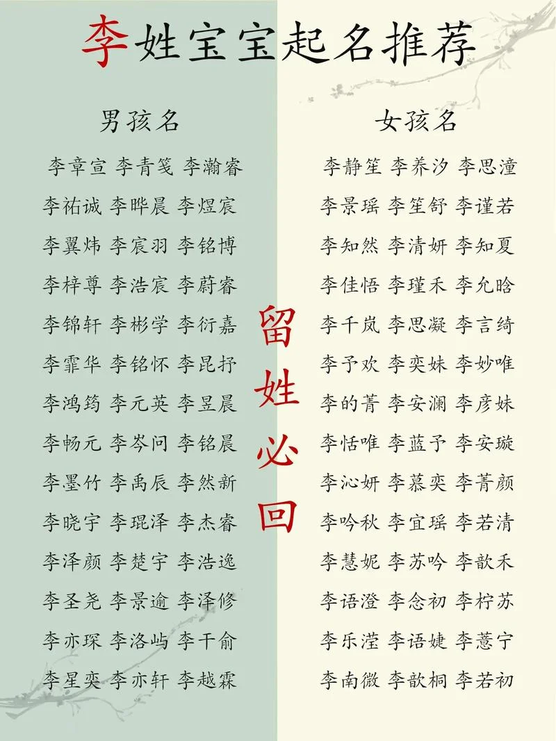 宝宝起名李姓名惠_2