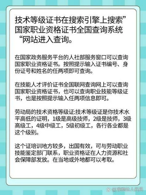等级证书号码查询网站_1