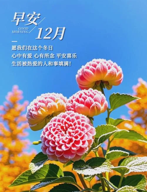 12月你好的励志文案_1