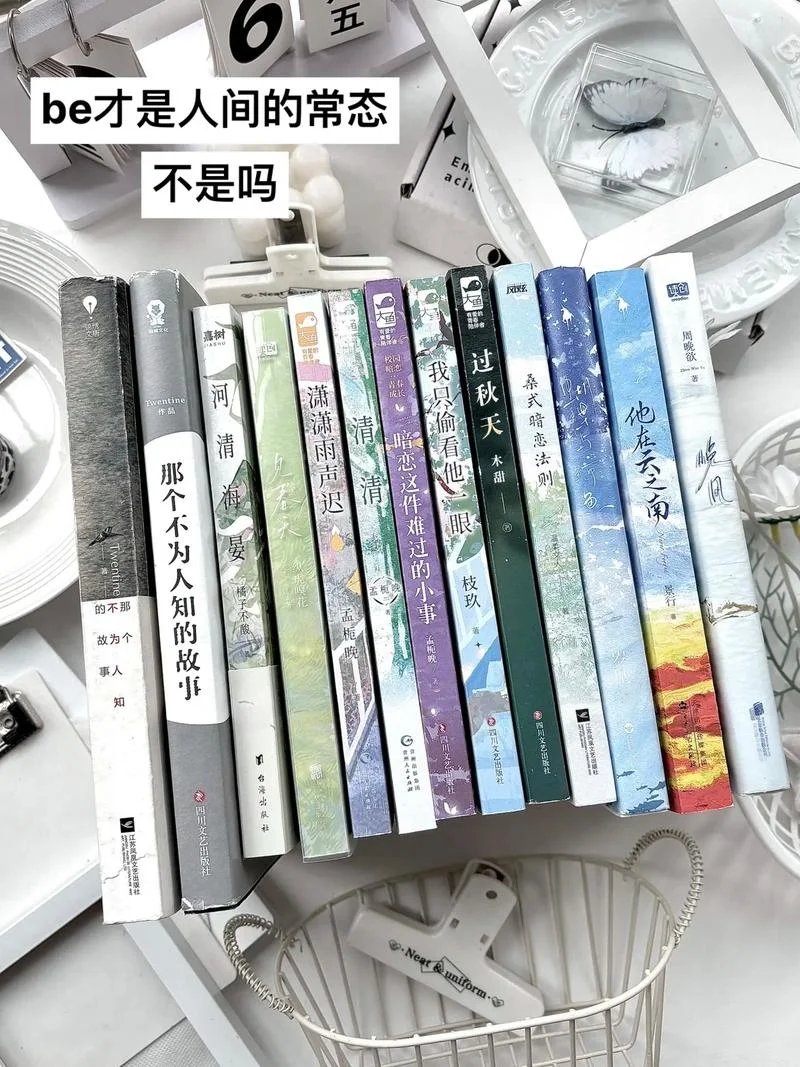 be小说里是什么意思-