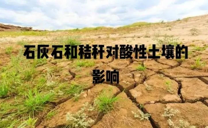 土壤酸化原理_1