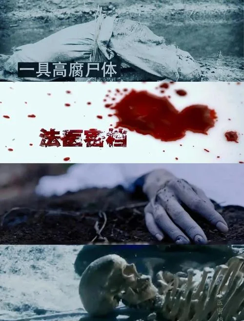 史上最离奇事件_1