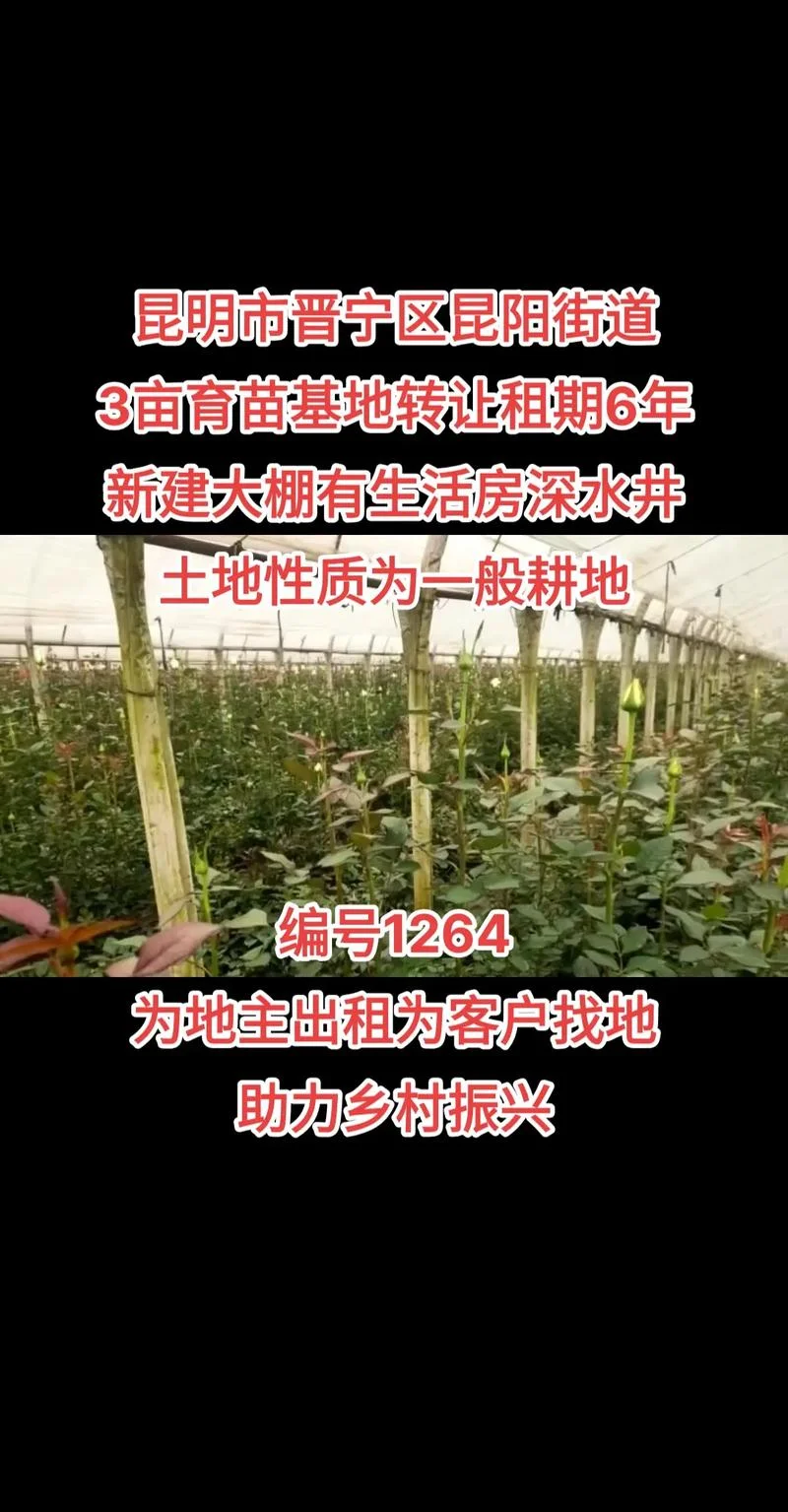 三亩地大棚需要多少钱_2