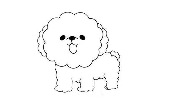 纯种泰迪犬图片简笔画_2