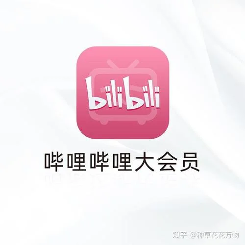 哔哔哔什么意思_1
