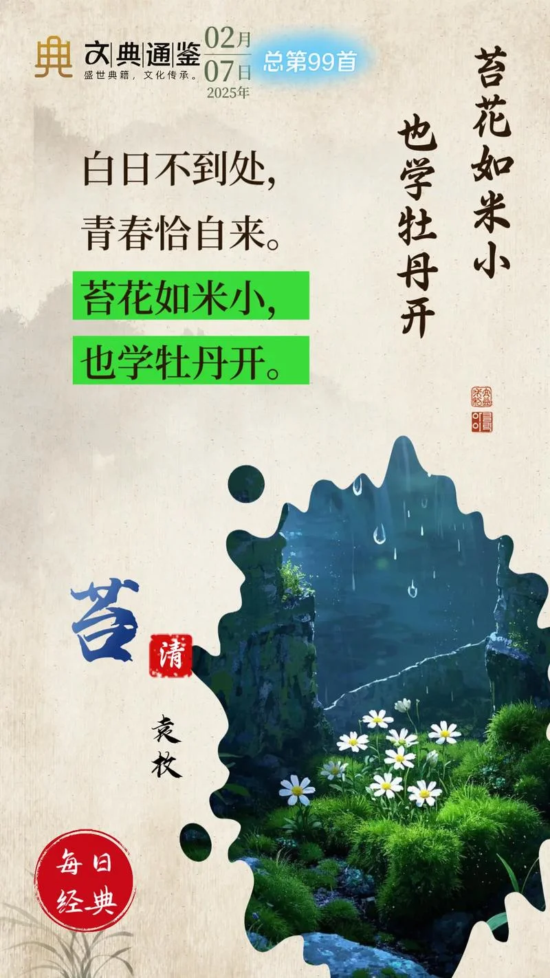 苔袁枚感悟_2