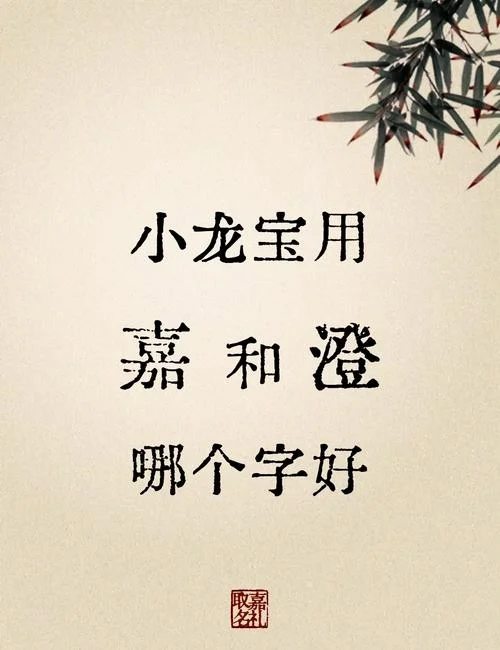 嘉字起名男孩最佳名字_1