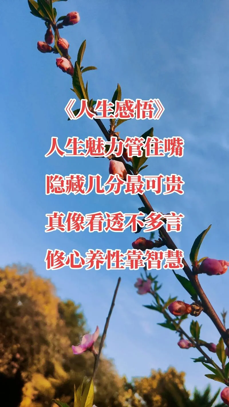 感悟人生的现代诗_2