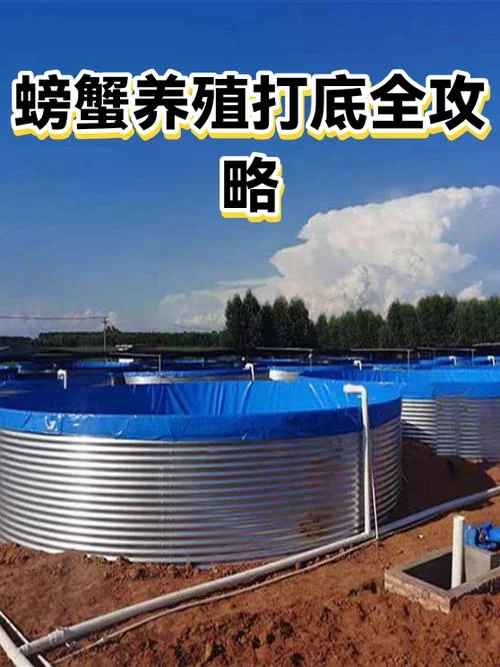 一亩养殖多少螃蟹_1