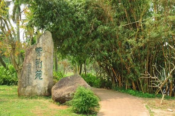 湛江霞山算命_1