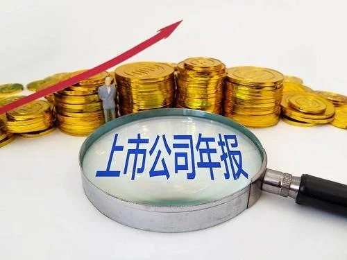 如何查非上市公司年报_2