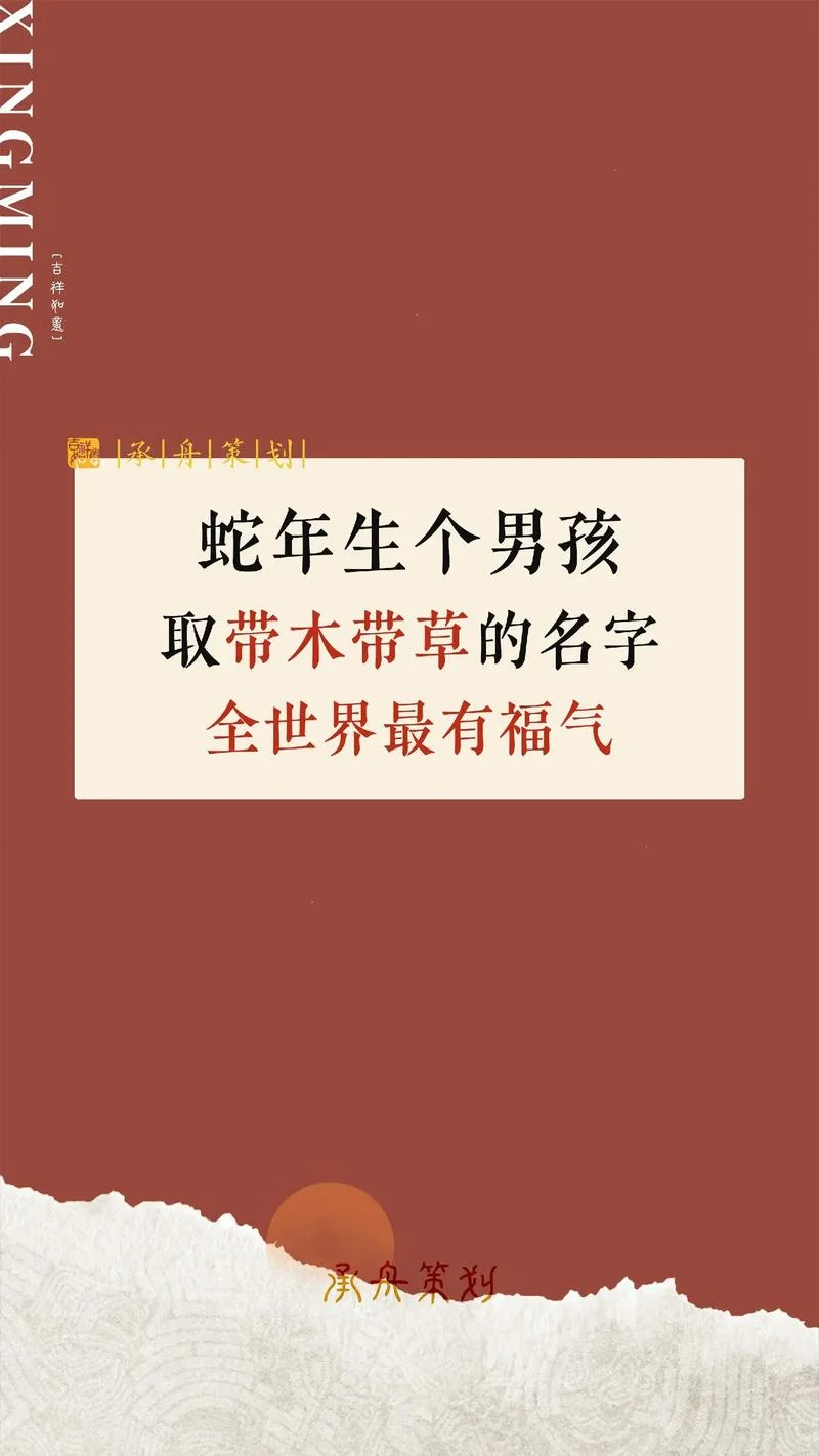 男宝宝起名带木_1