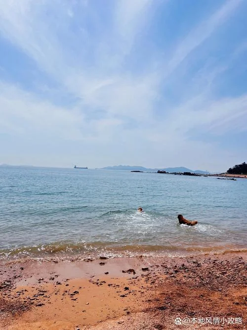 海南海口旅游一日游_1