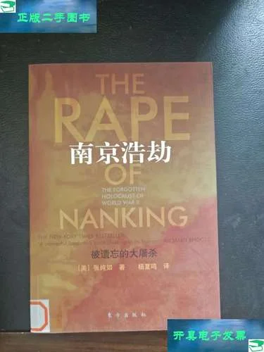 南京浩劫被遗忘的历史_2