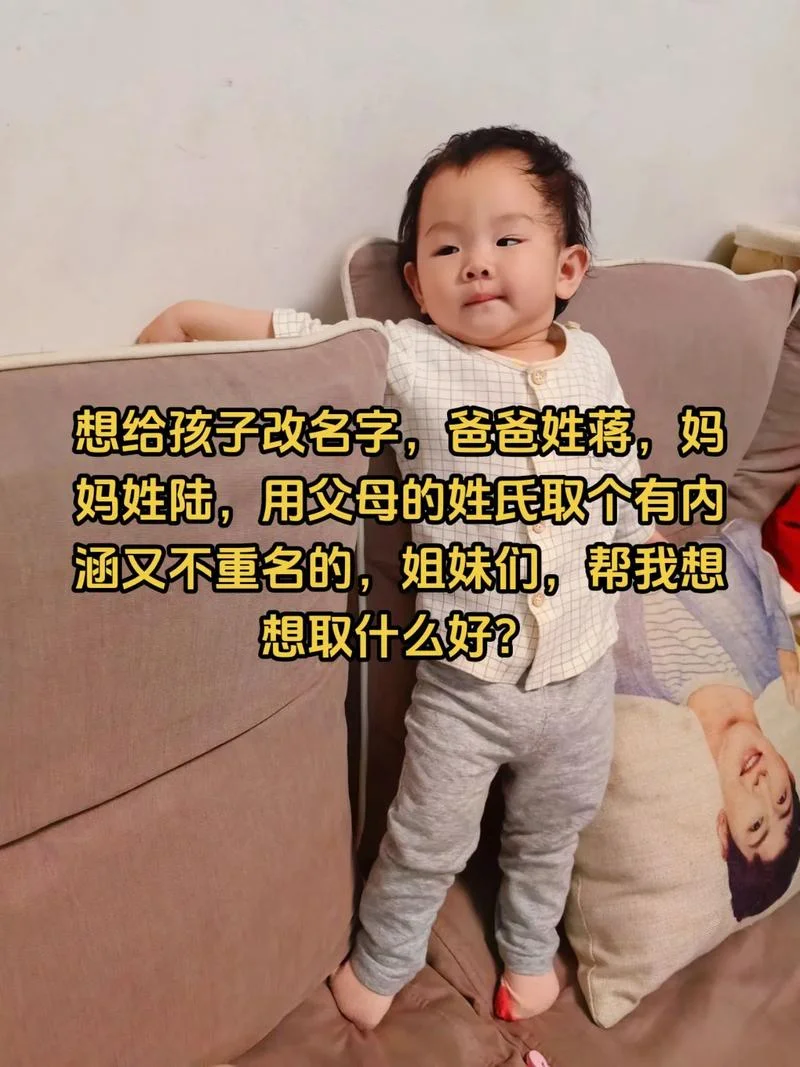 陆起名字_1