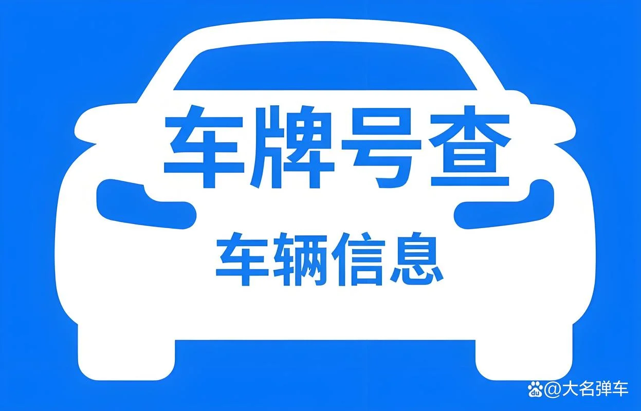在哪里查车牌号_2