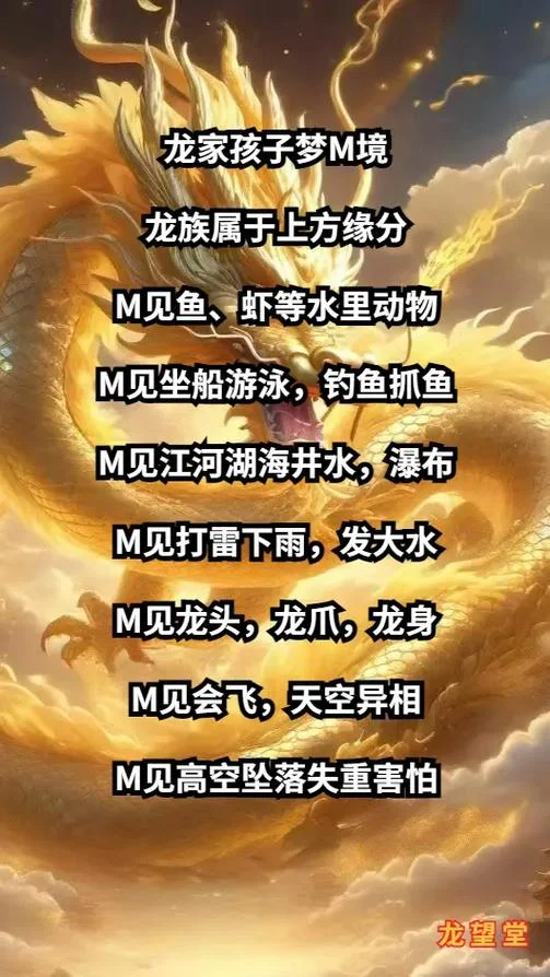 梦见彩色的龙_2