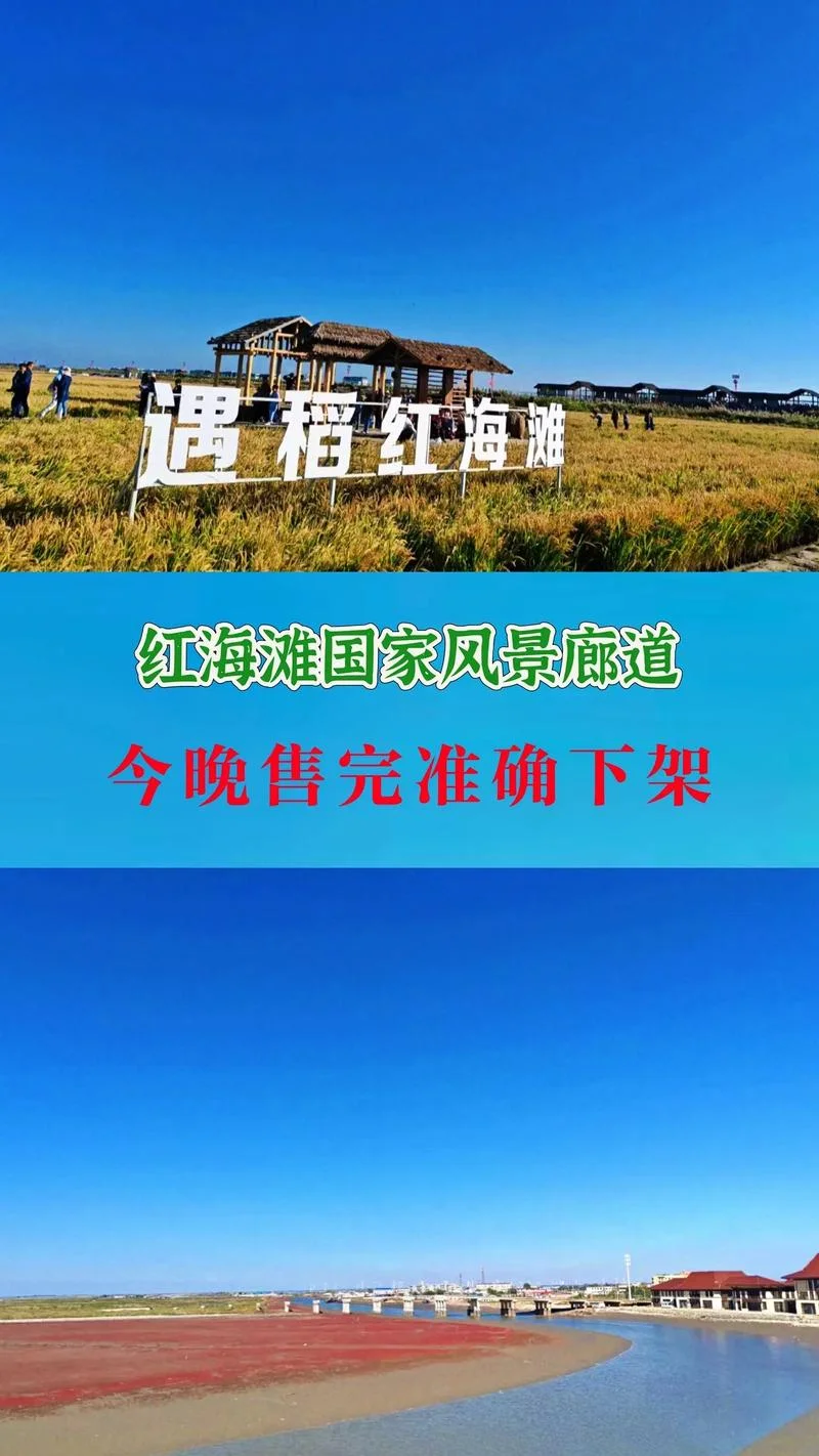 红海滩自由行旅游攻略-红海滩自助游攻略