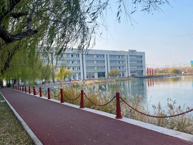 滨州职业学院查成绩_2