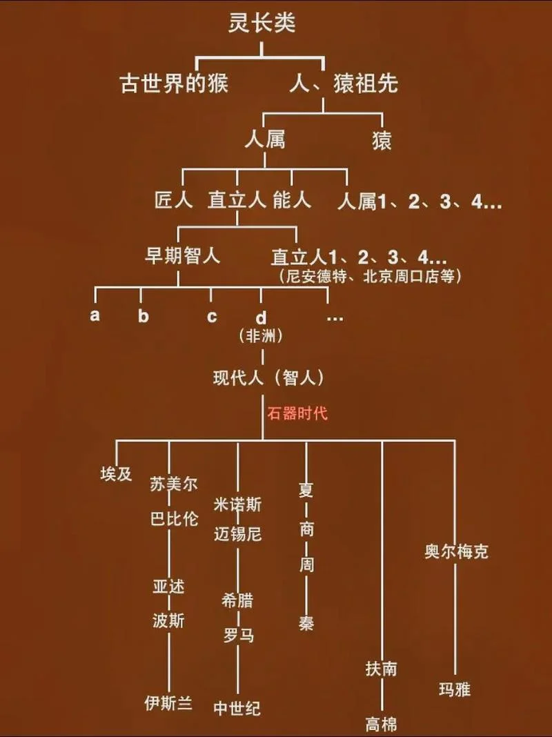 人类基因的历史地图pdf下载-人类基因历史地图 PDF
