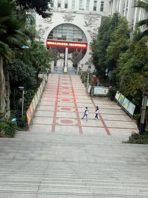 重庆凤鸣山中学排名_2