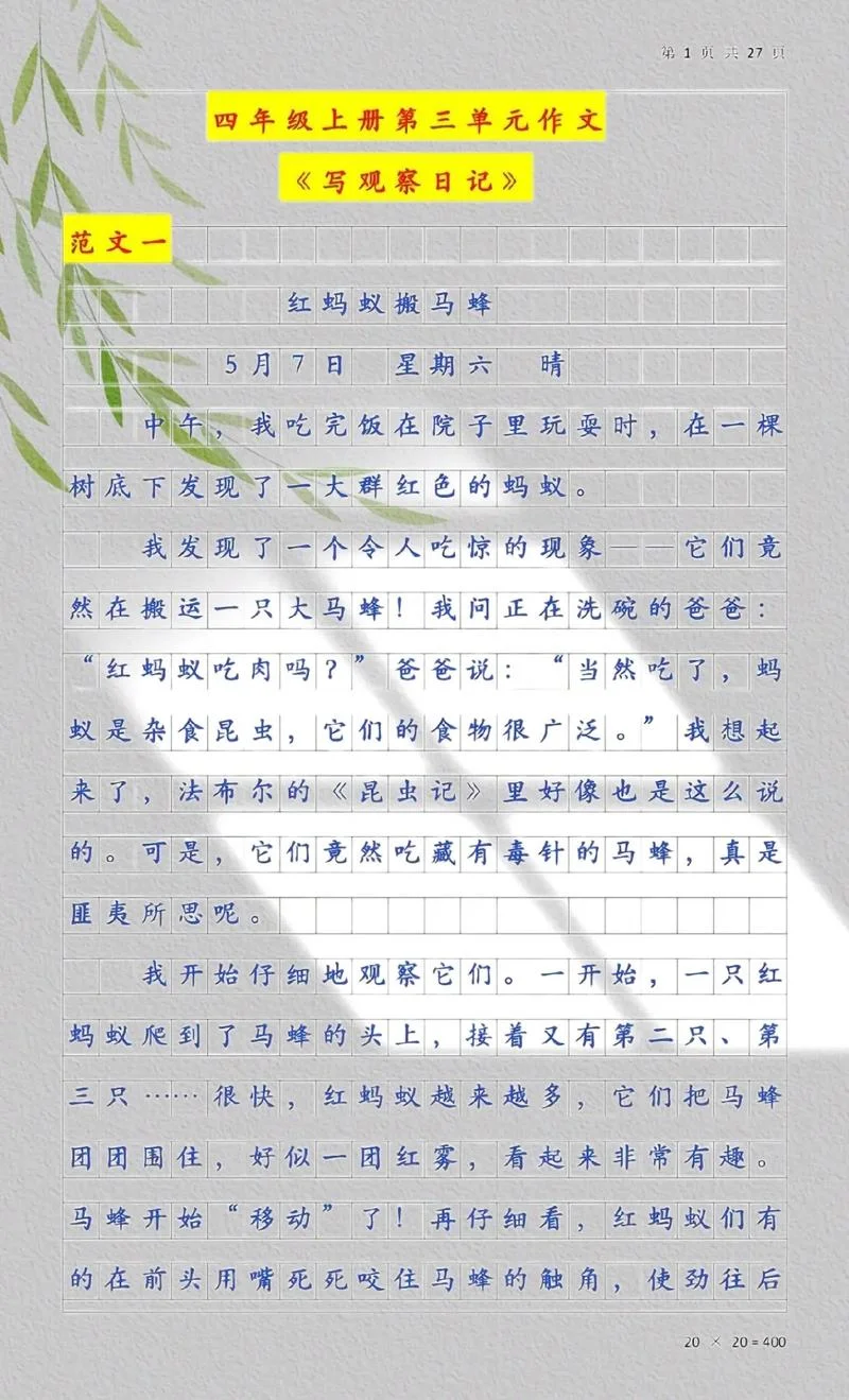 写观察日记作文指导-写观察日记作文指导