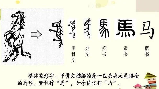 马字的演变过程和历史_2