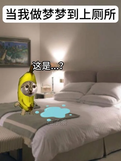 做梦找厕所是咋回事_2