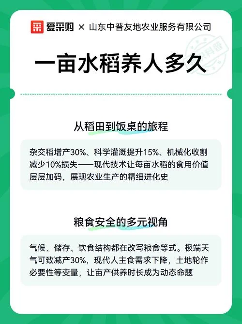 1亩水稻产量是多少公斤_1