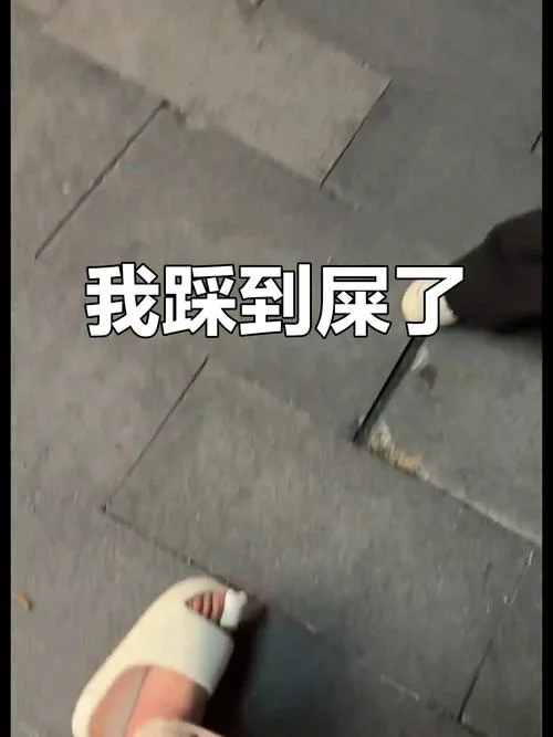梦见踩到狗屎是什么意思周公解梦_1