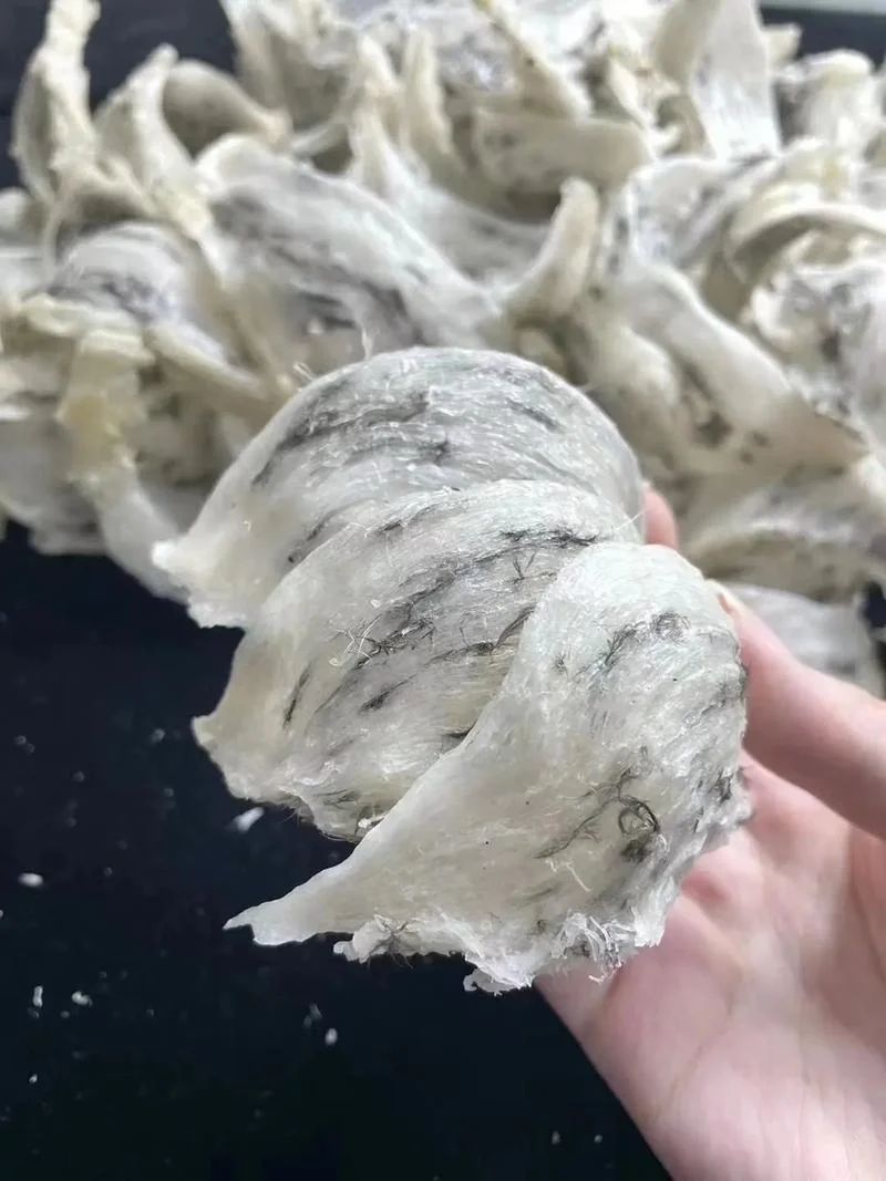 什么是燕窝绒毛_2