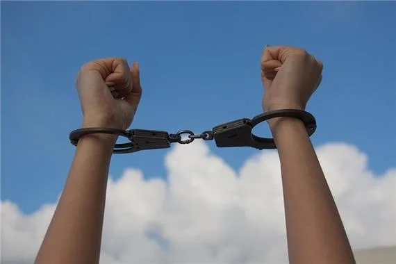 梦见自己是警察抓人_1