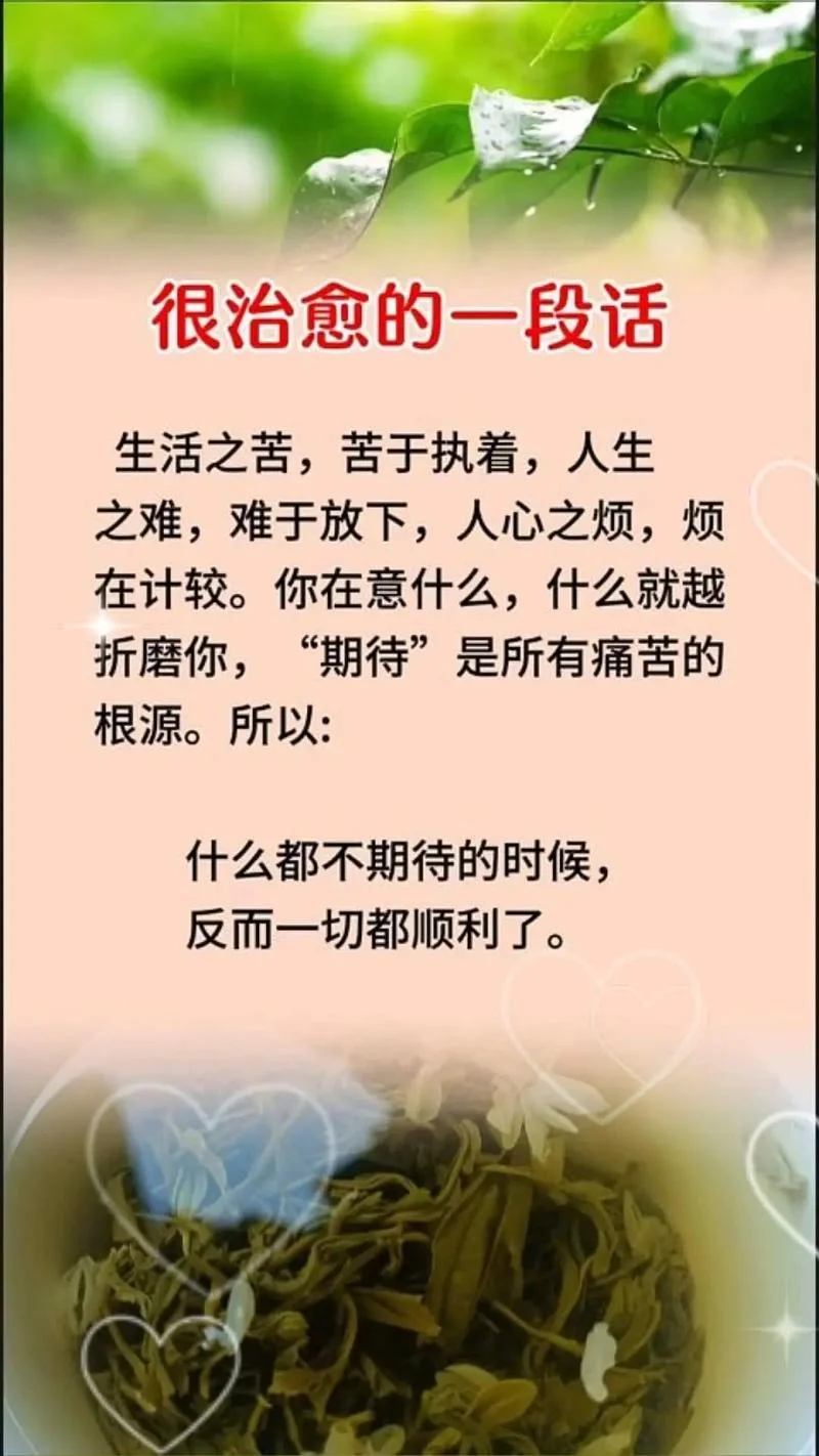 中年女人感悟人生的句子_1
