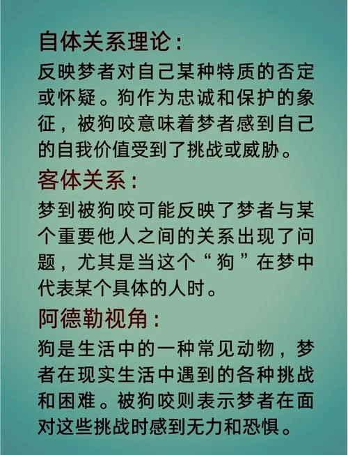 孕妇梦见被小白狗咬-孕妇梦被小白狗咬