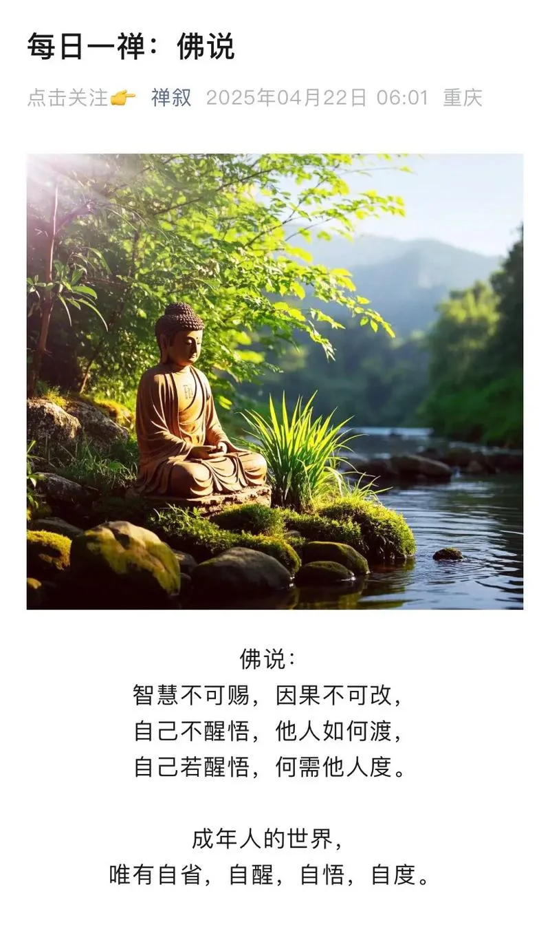 禅的意思和感悟_1