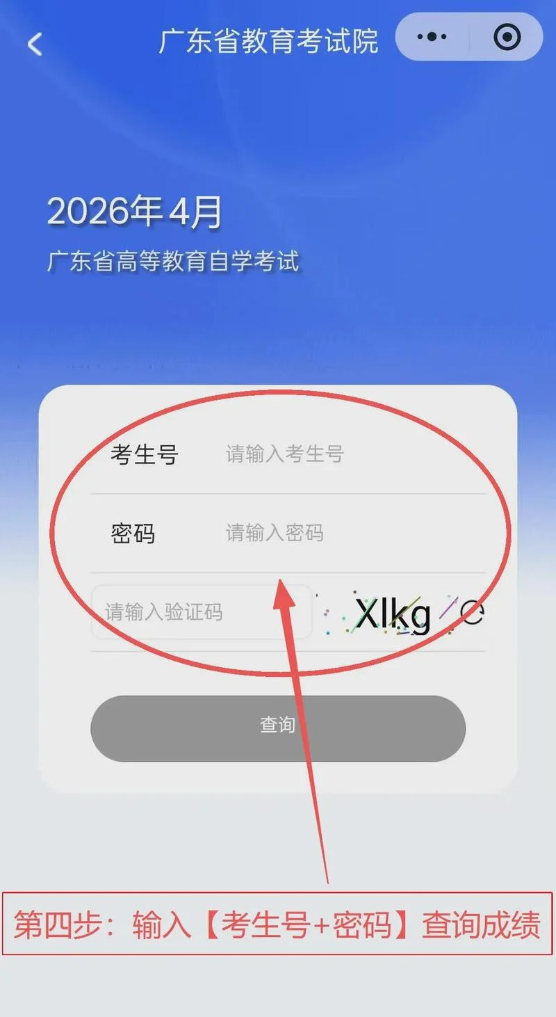 怎么查自考所有成绩_2