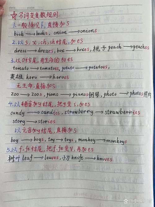 历史的英语复数怎么写_2