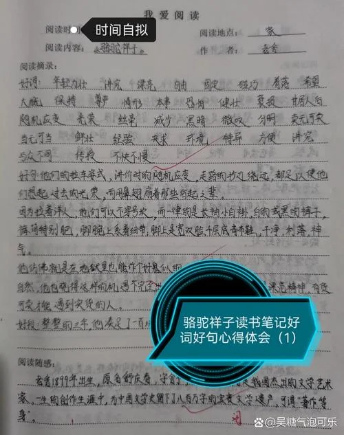 好吗,好的读后感_2